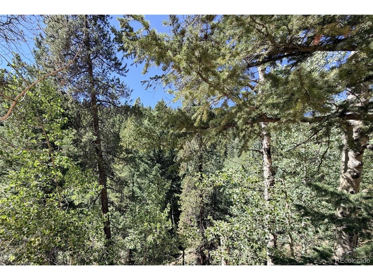 0 Silver Dollar Lode, Georgetown, CO 80444