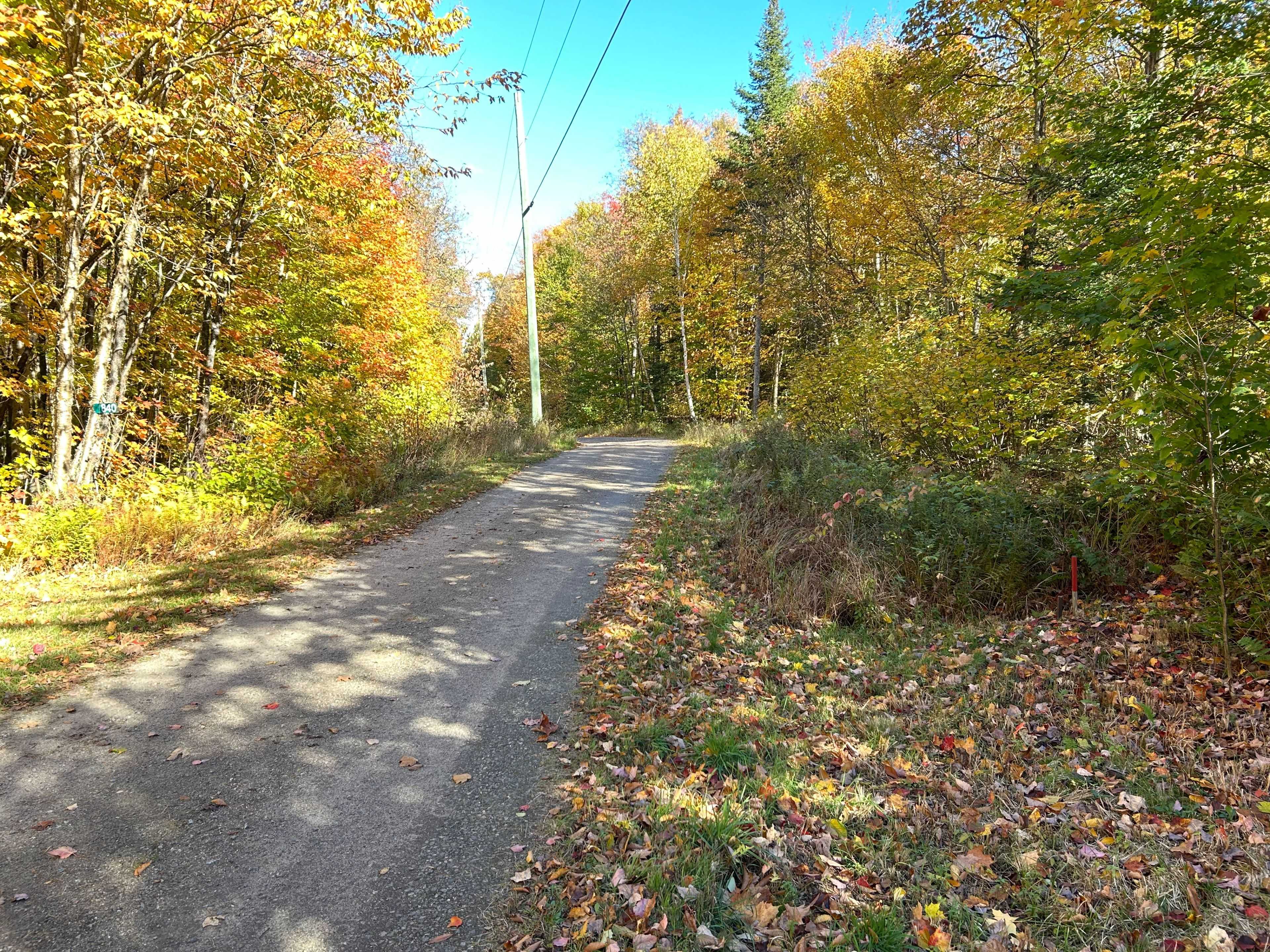 833 Hamilton Lake RD, Machar, ON P0A 1X0