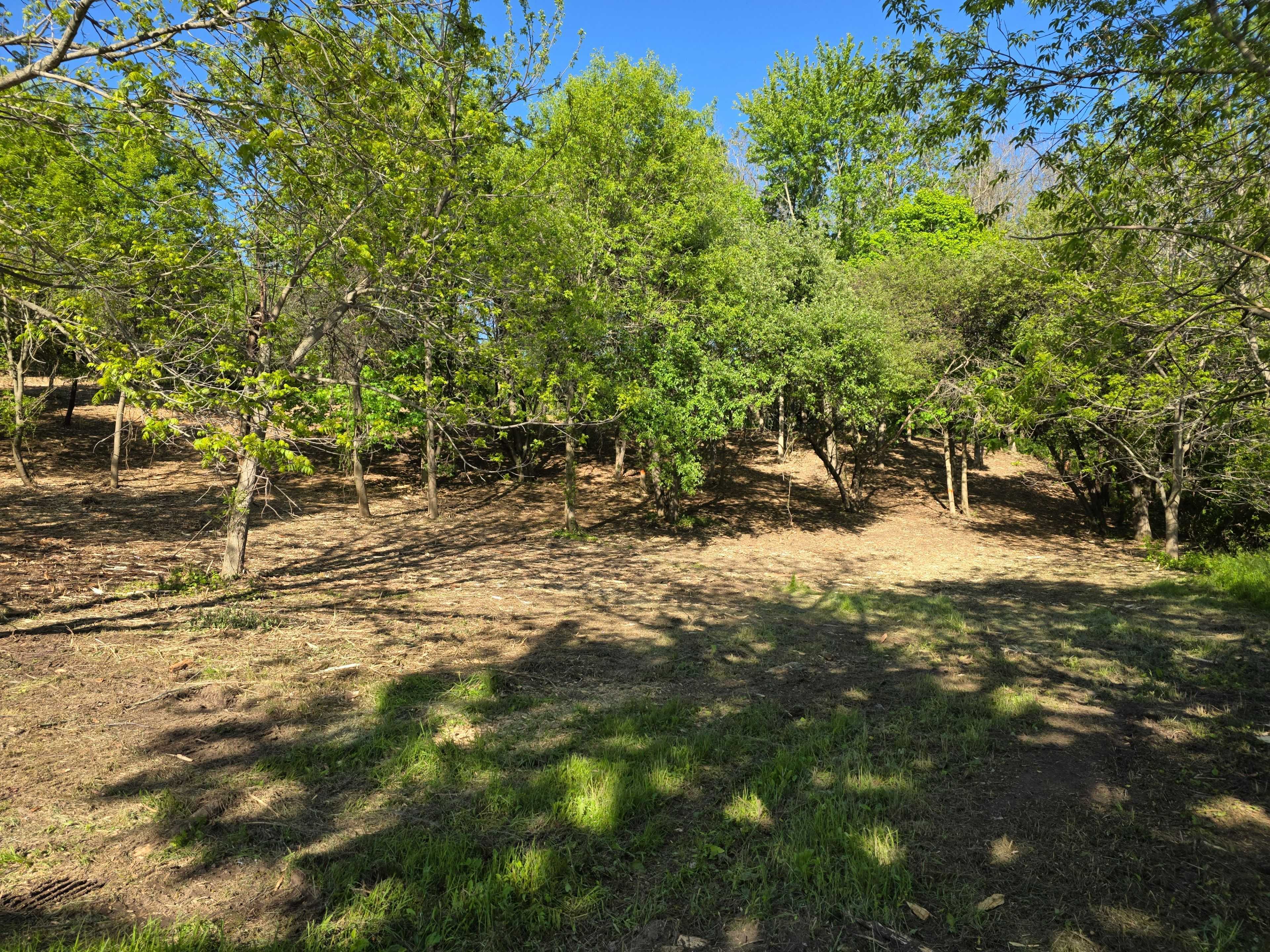 40 North ST, Bayham, ON N0J 1Z0