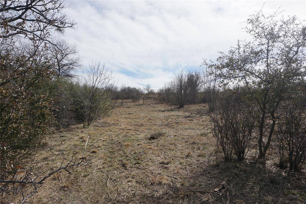Lot 297 Shooting Star Court, Possum Kingdom Lake, TX 76449