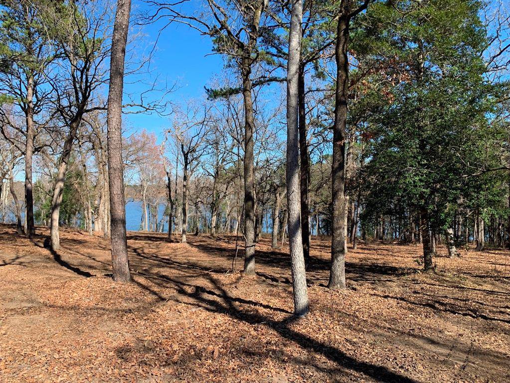 3266 Shadow Pine Drive, Larue, TX 75770