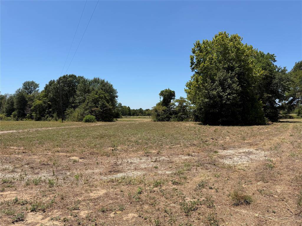 1288 Vz County Road 4414, Canton, TX 75103