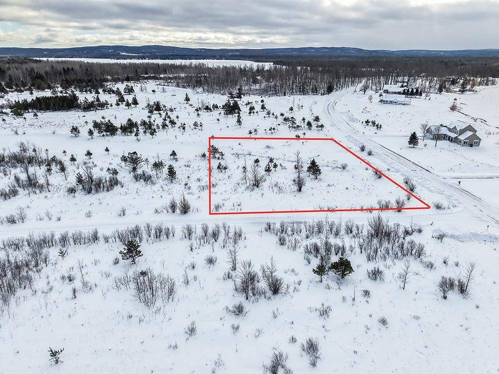 6412 Lora Bette DR, Littlefield Twp, MI 49706