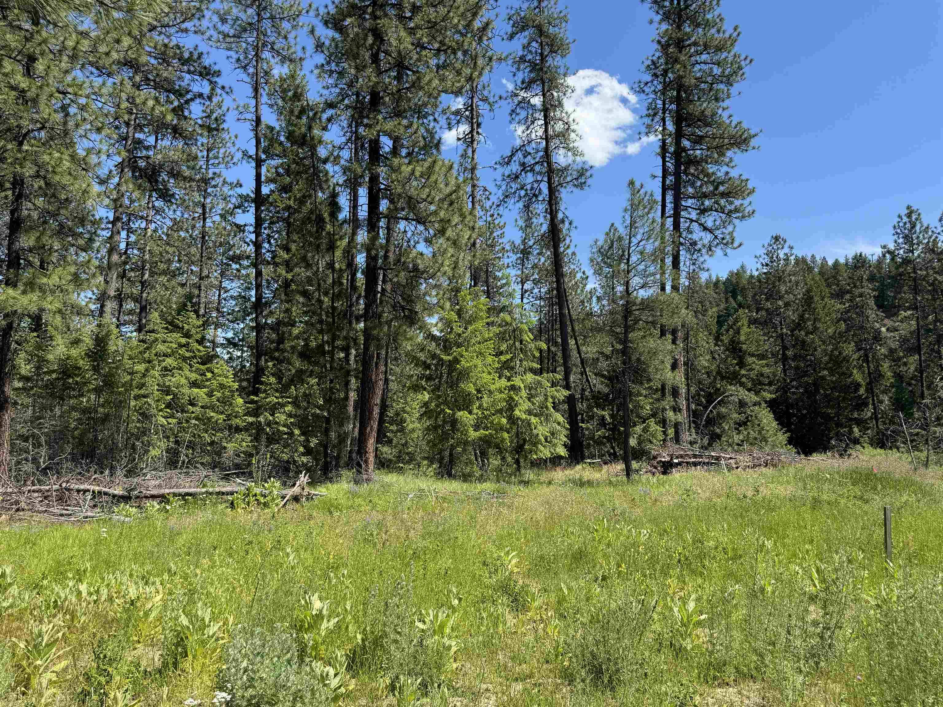 510 N A St #Lot #6, Springdale, WA 99173