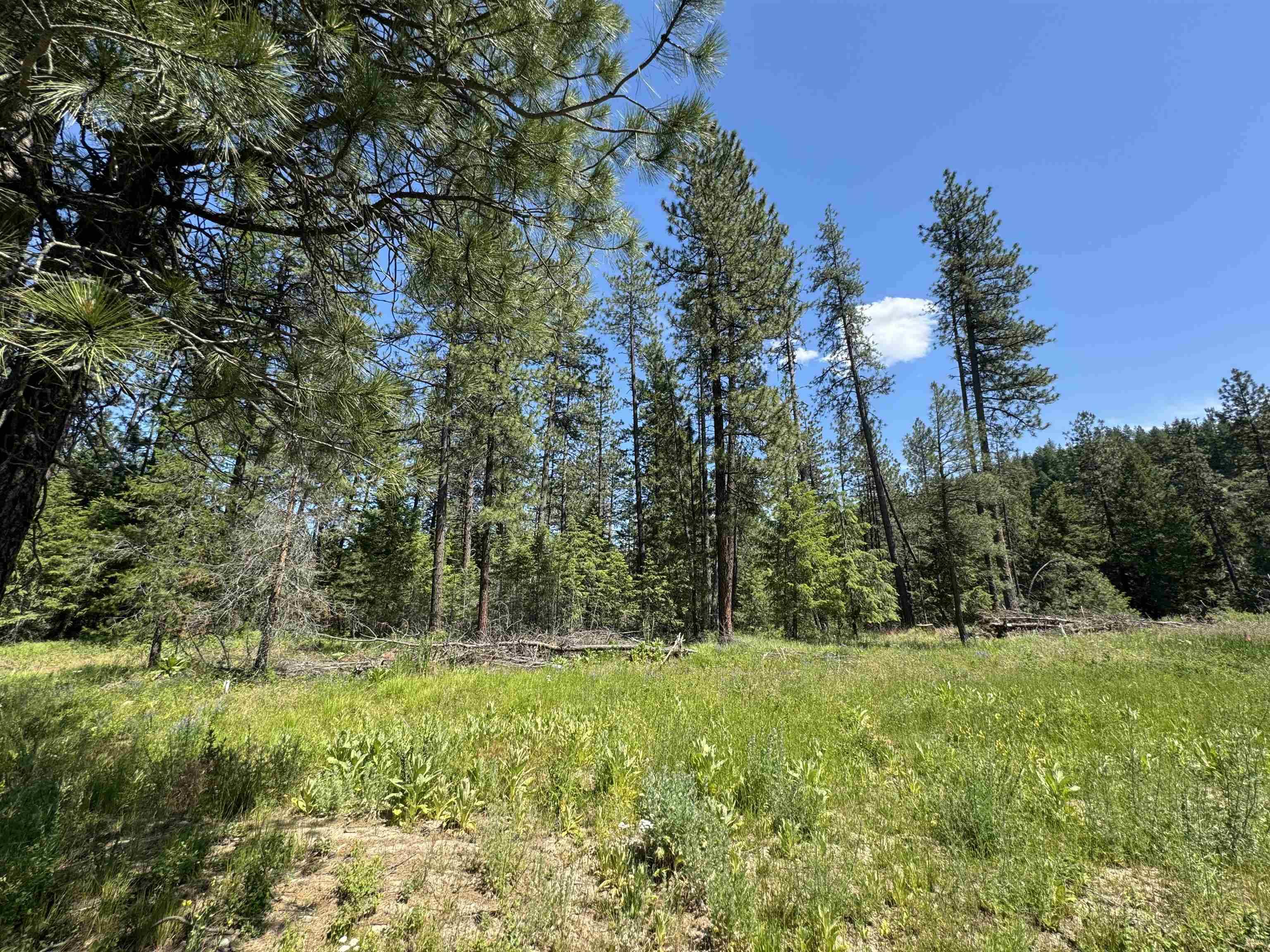 510 N A St #Lot #6, Springdale, WA 99173