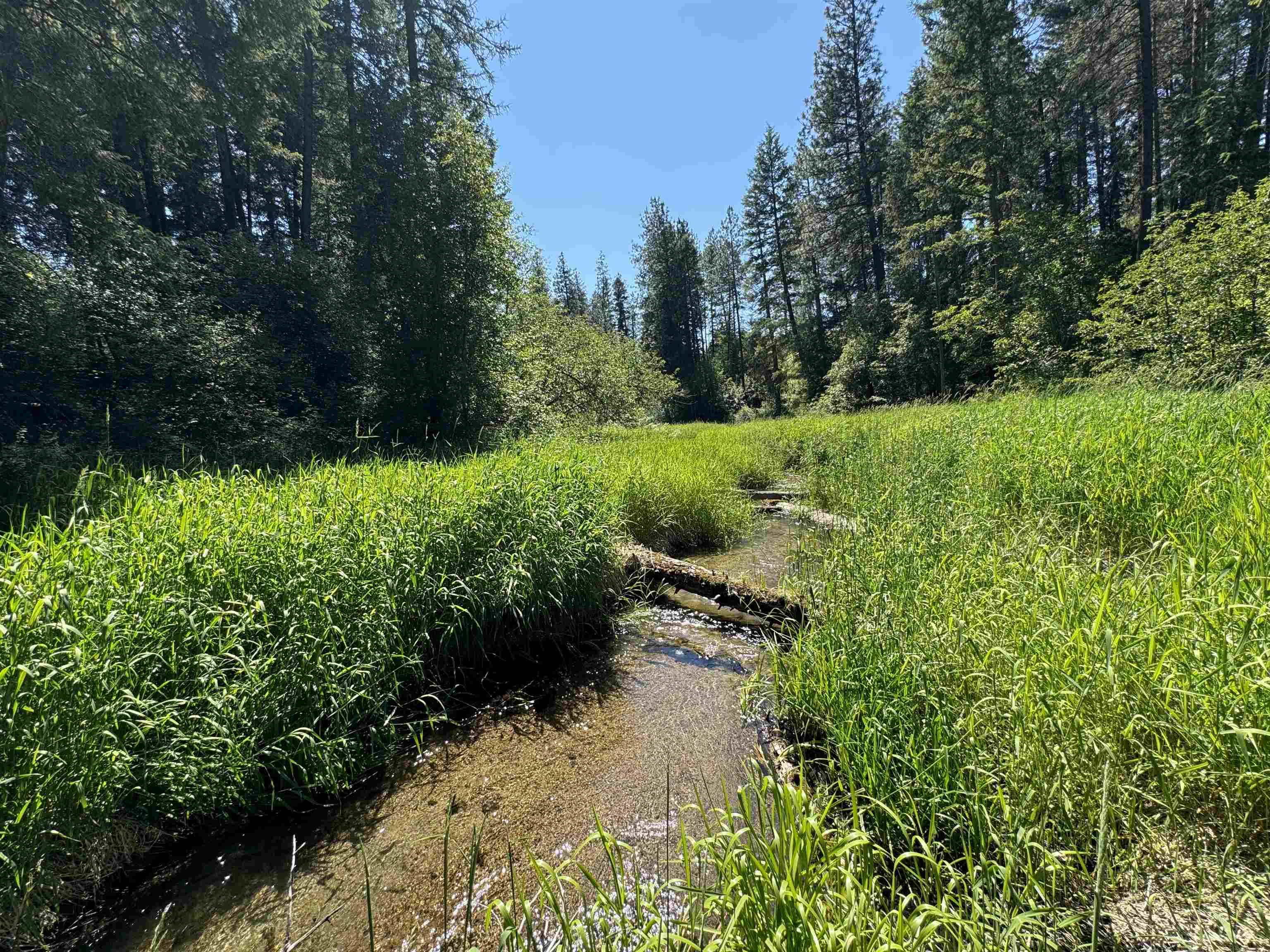 510 N A St #Lot #6, Springdale, WA 99173