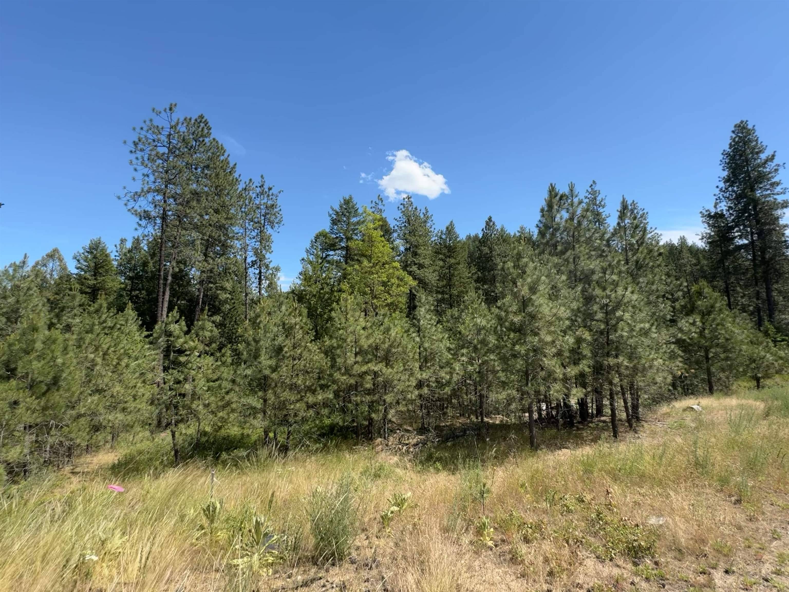 402 N Beck Ln #Lot #8, Springdale, WA 99173