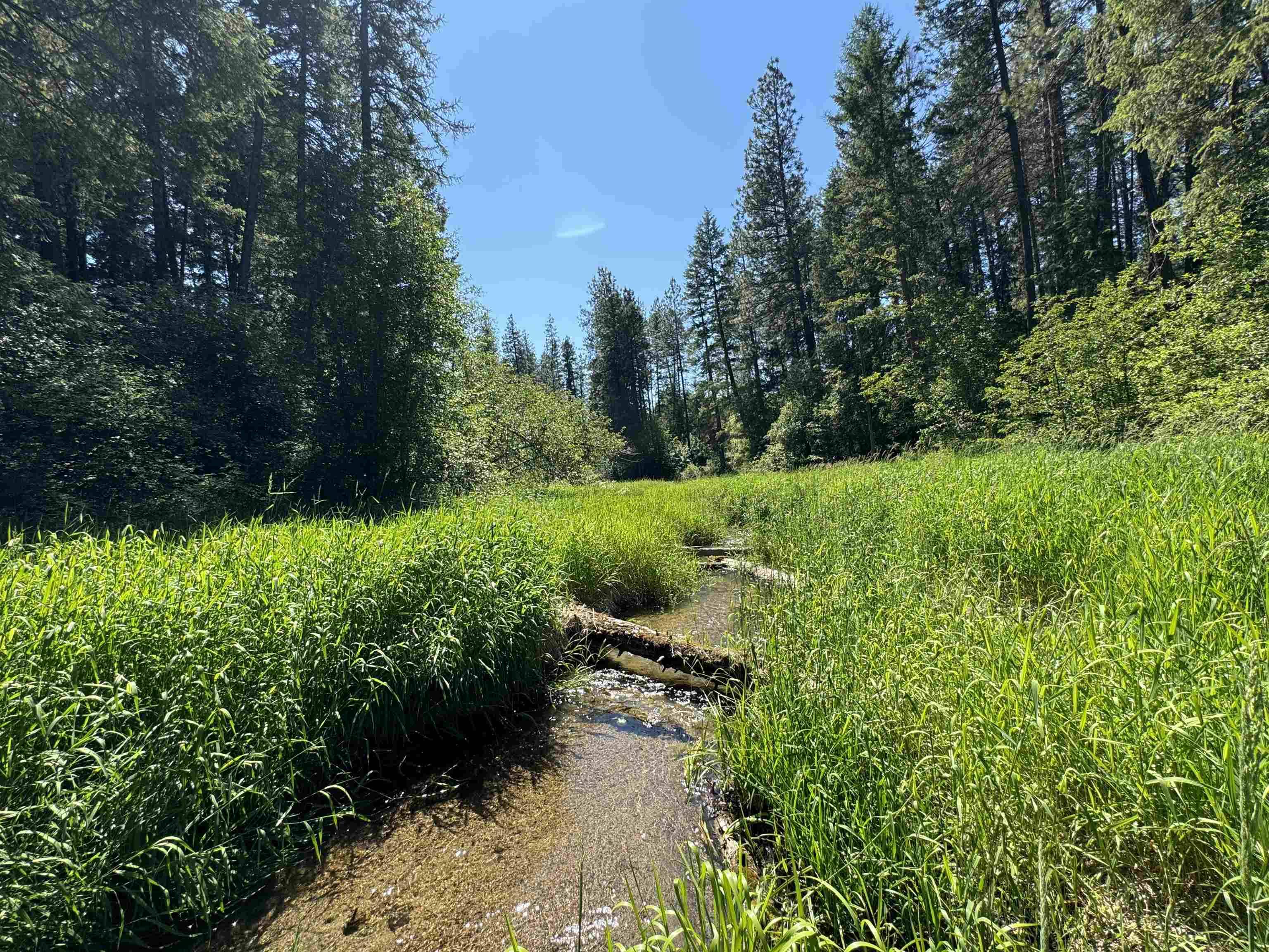340 N Beck Ln #Lot #9, Springdale, WA 99173