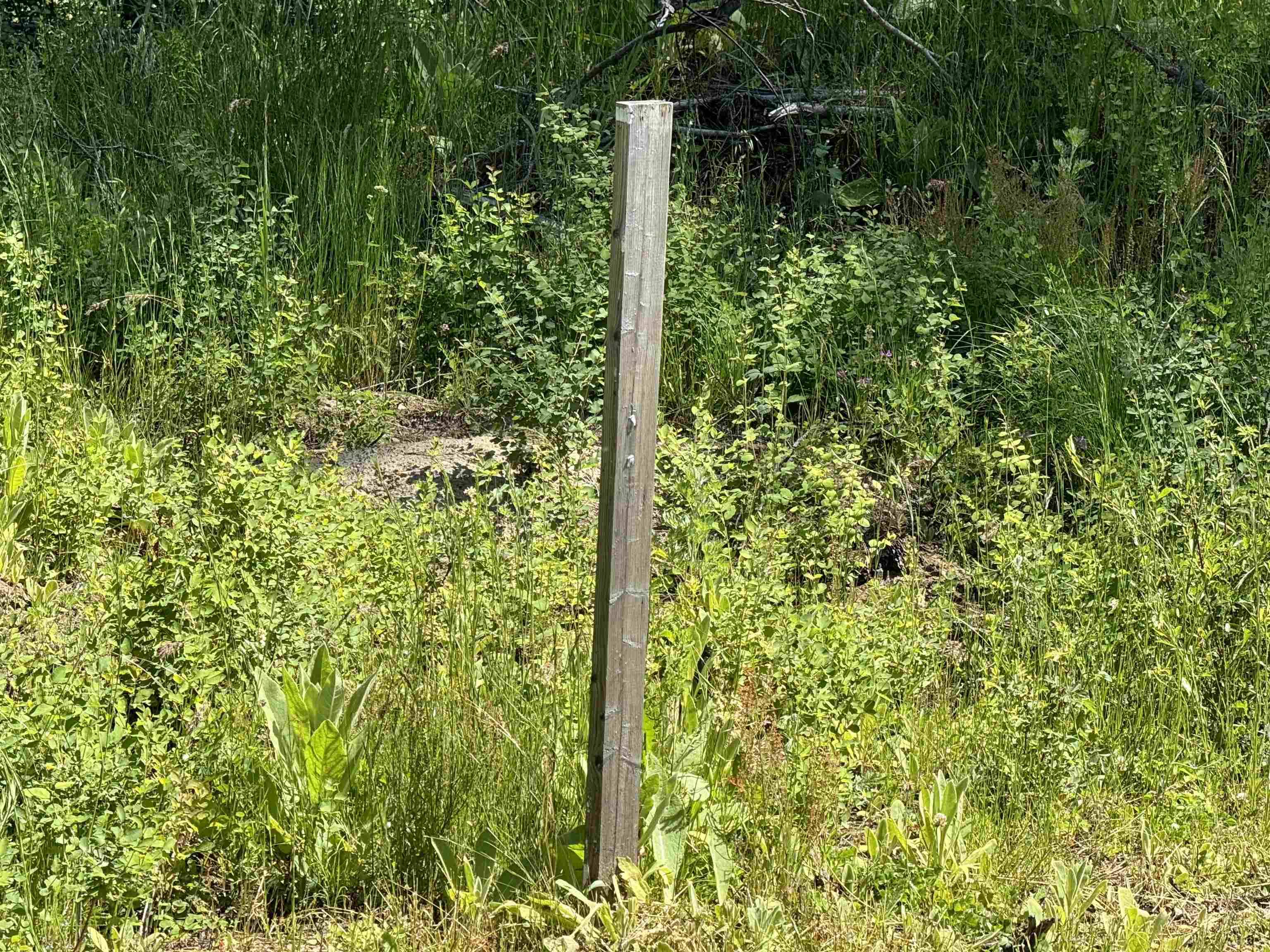 610 N A St #Lot #2, Springdale, WA 99173