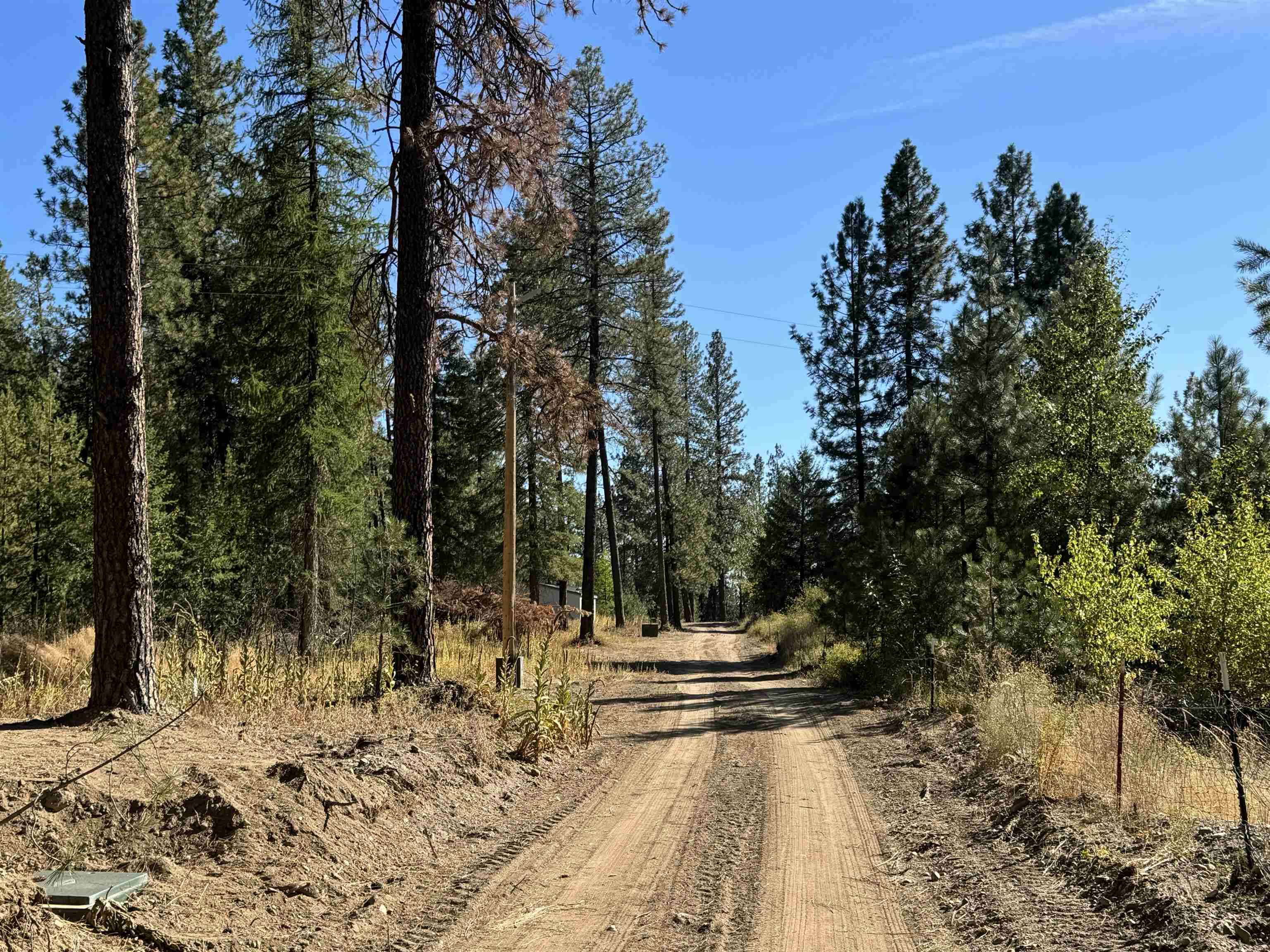 530 N A St #Lot #4, Springdale, WA 99173