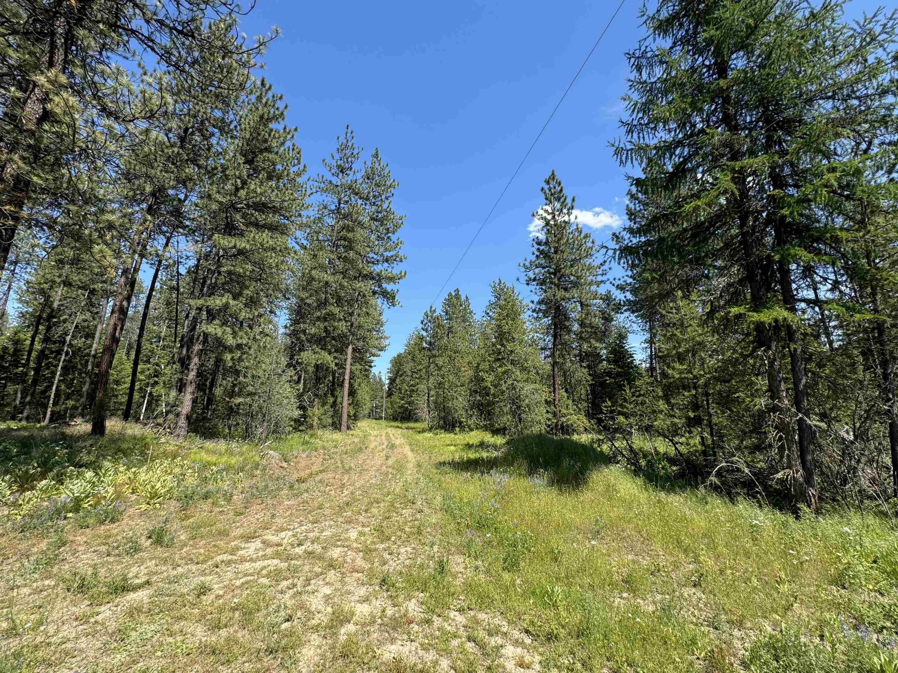 530 N A St #Lot #4, Springdale, WA 99173