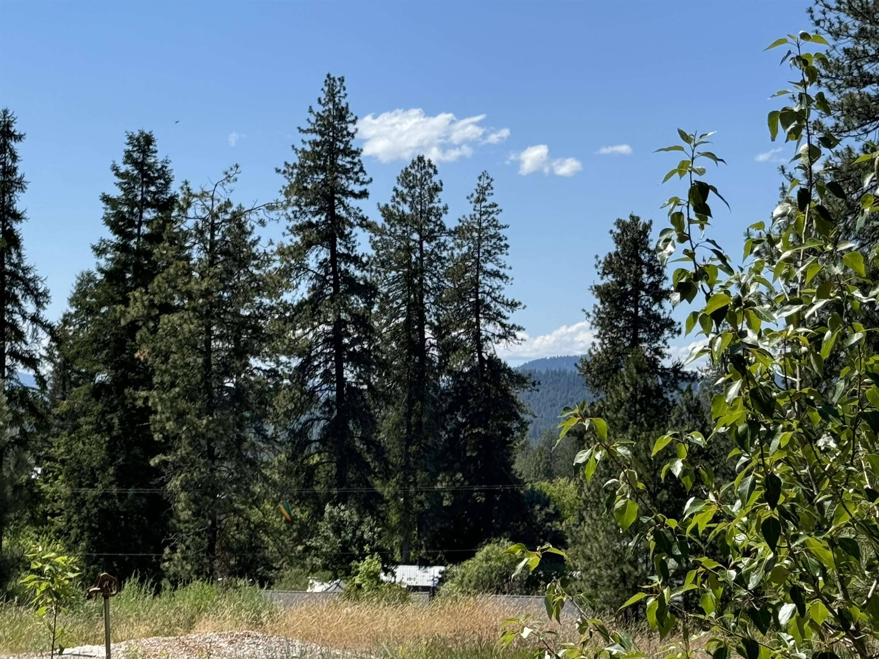 530 N A St #Lot #4, Springdale, WA 99173