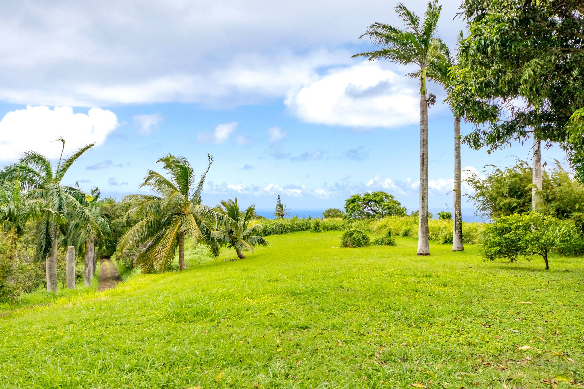55-3476 AKONI PULE HIGHWAY, Hawi, HI 96719