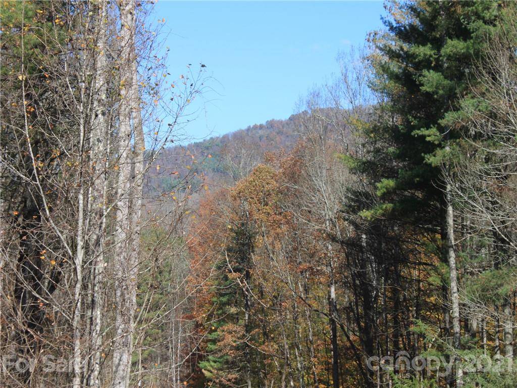 0 Carolina Keep RD #Portion 1, Green Mountain, NC 28740