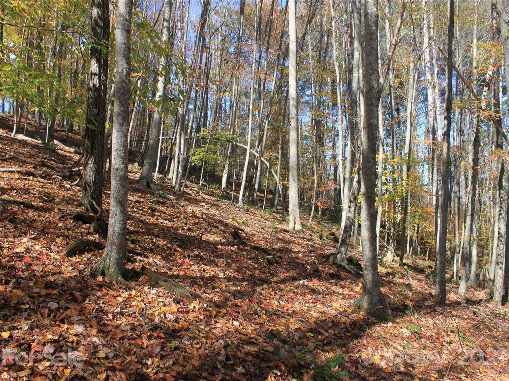 0 Carolina Keep RD #Portion 1, Green Mountain, NC 28740