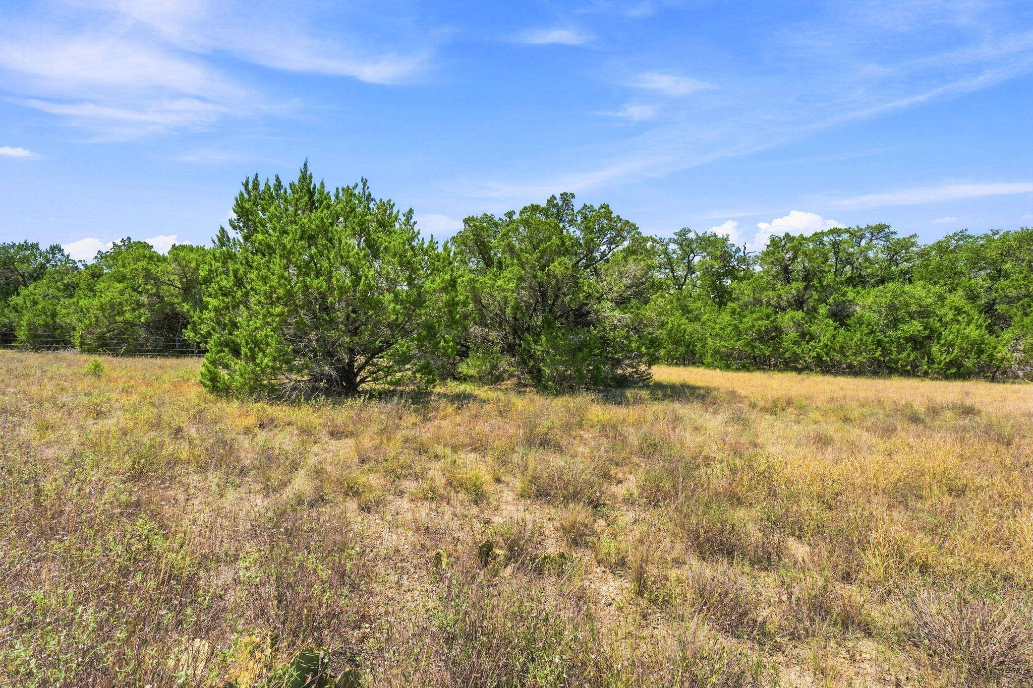 TBD 22.5 Ac Lipan RUN, Fischer, TX 78623