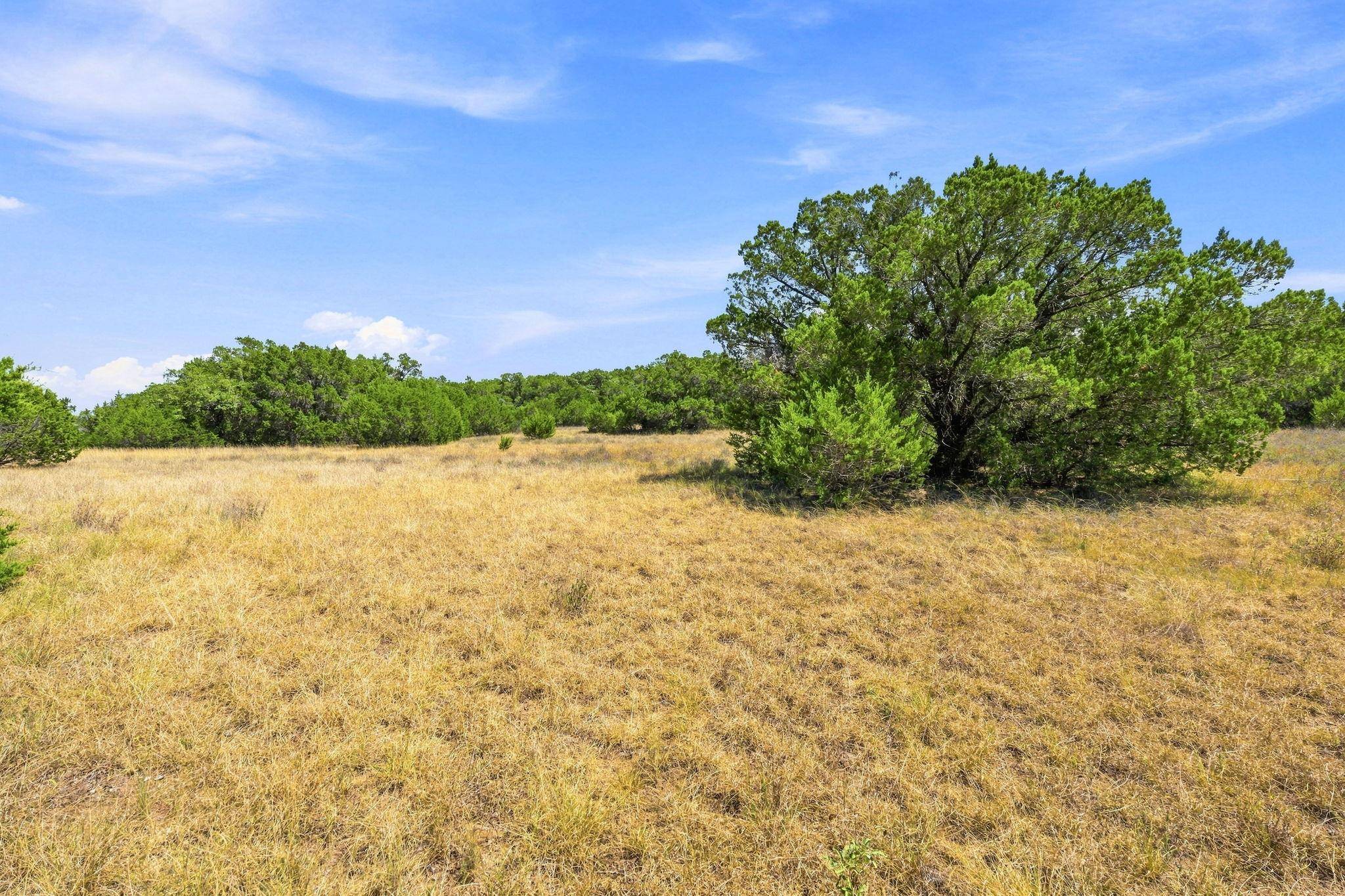 TBD 22.5 Ac Lipan RUN, Fischer, TX 78623