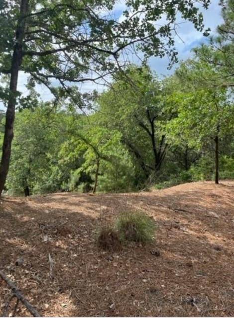 Lot 1114 KAOHIKAIPU DR, Bastrop, TX 78602