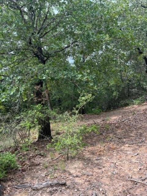 Lot 1114 KAOHIKAIPU DR, Bastrop, TX 78602