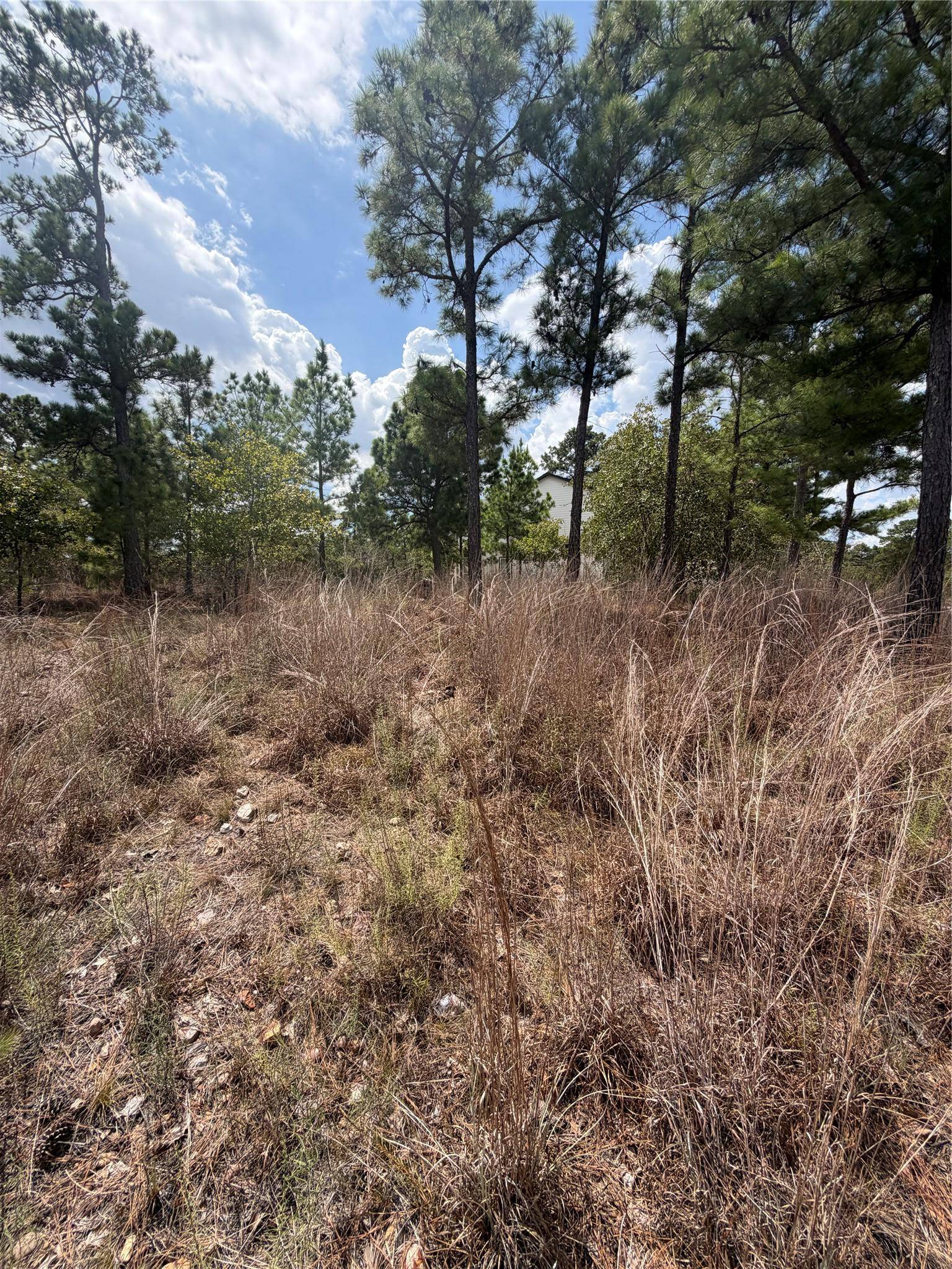 Lot 1189 Awehi LN, Bastrop, TX 78602
