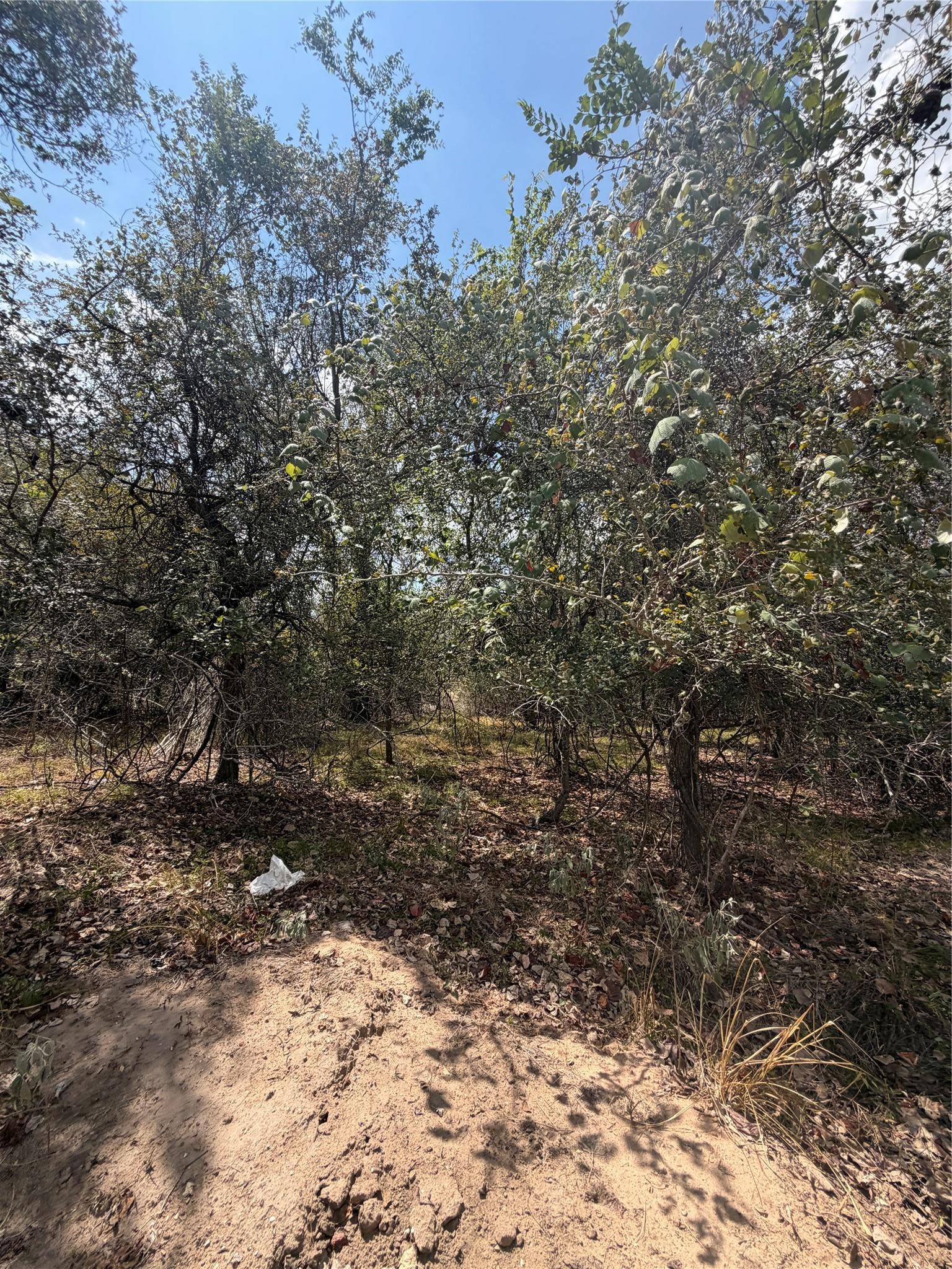155 Waimanalo LN, Bastrop, TX 78602