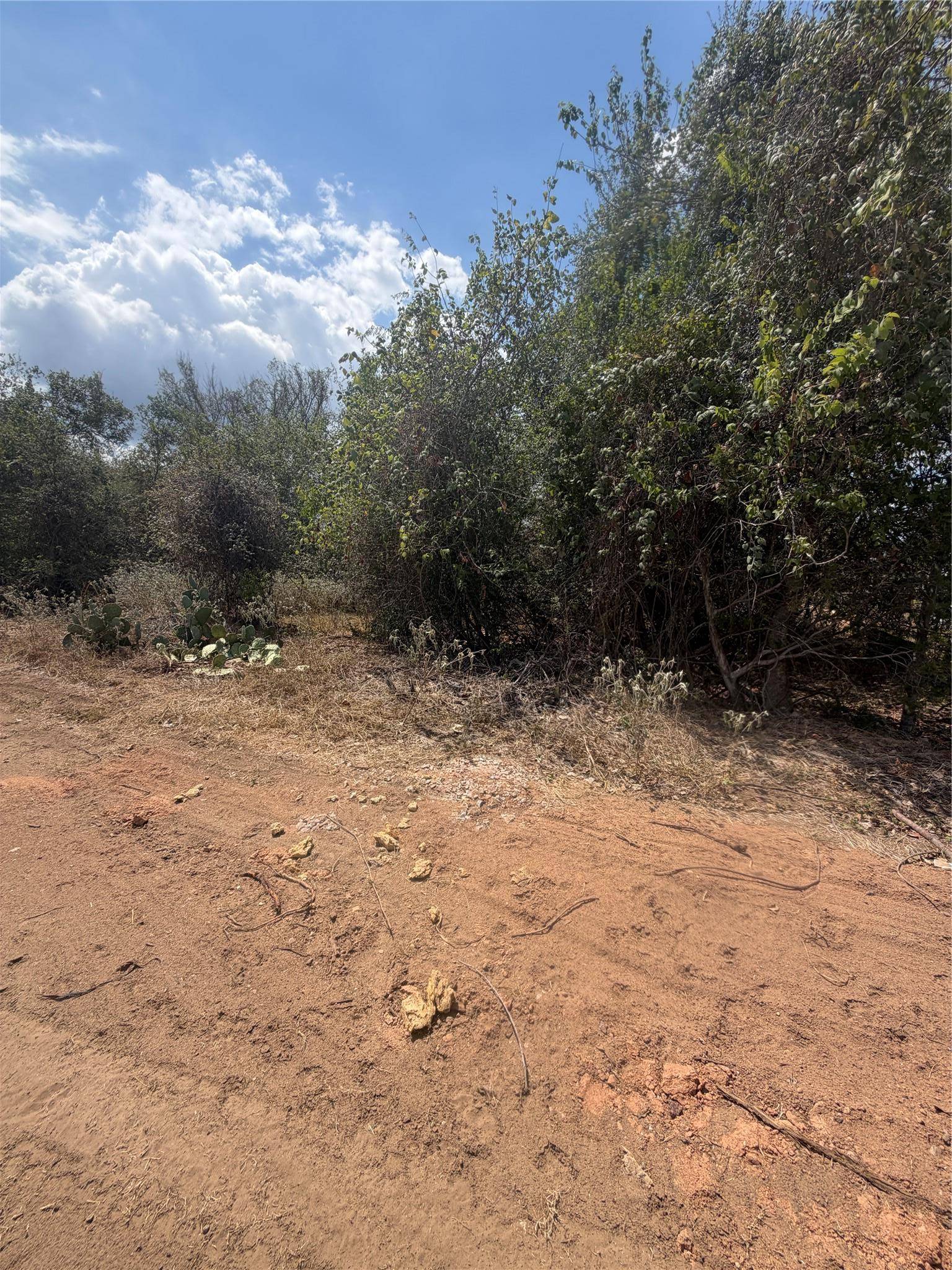 155 Waimanalo LN, Bastrop, TX 78602
