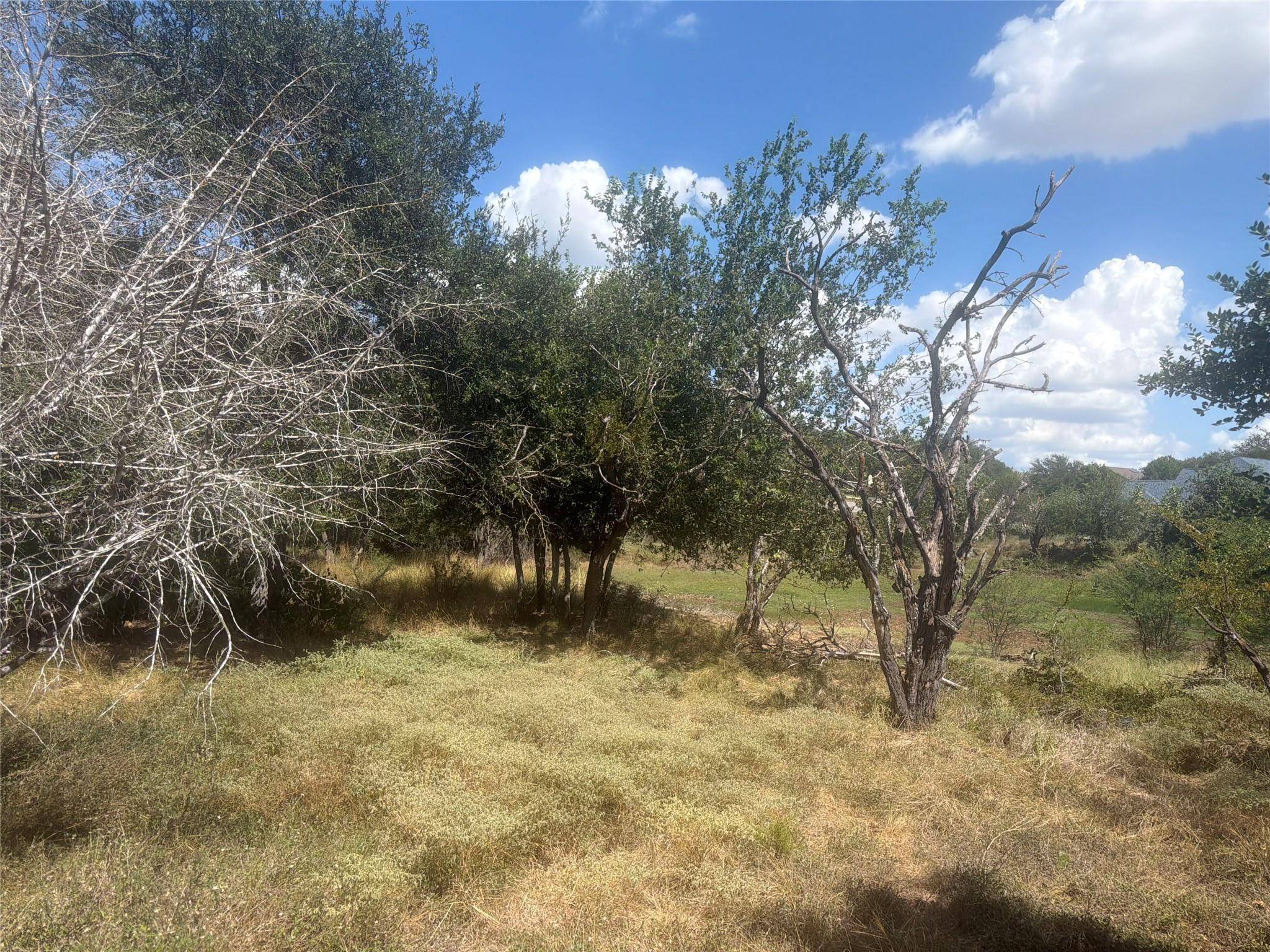 327 Mill RUN, New Braunfels, TX 78132