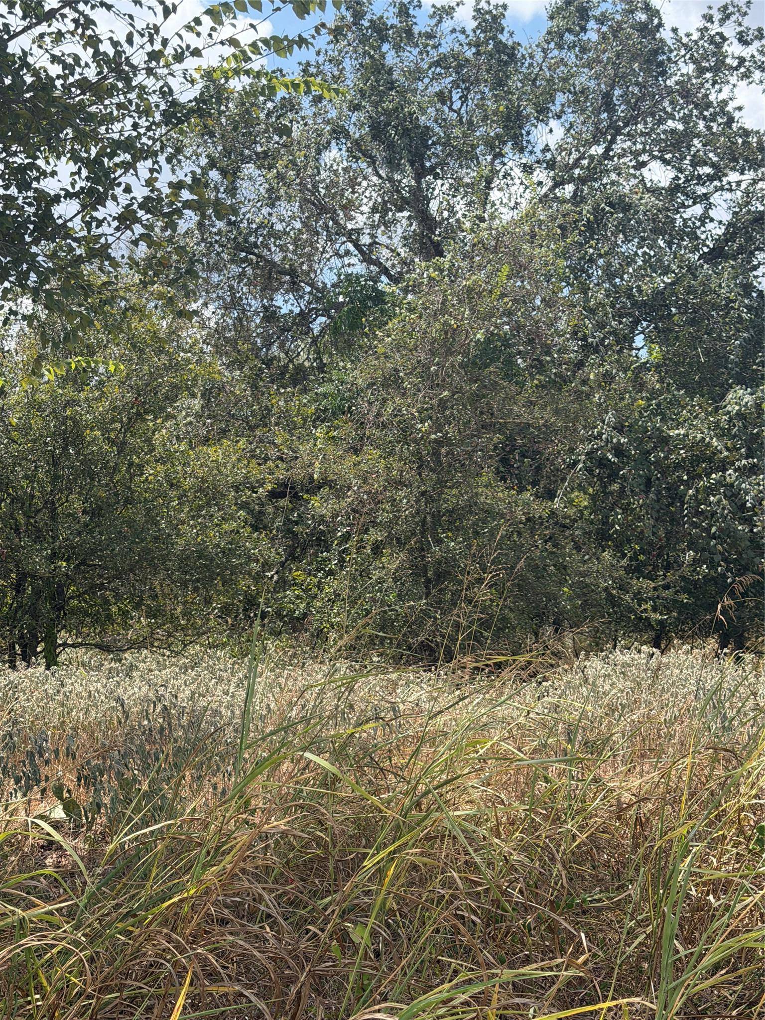 143 Kawainui LN, Bastrop, TX 78602