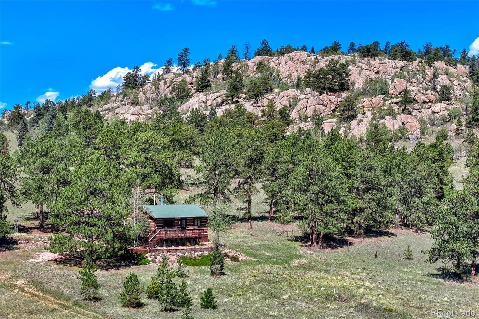 189 Saddle LN, Lake George, CO 80827