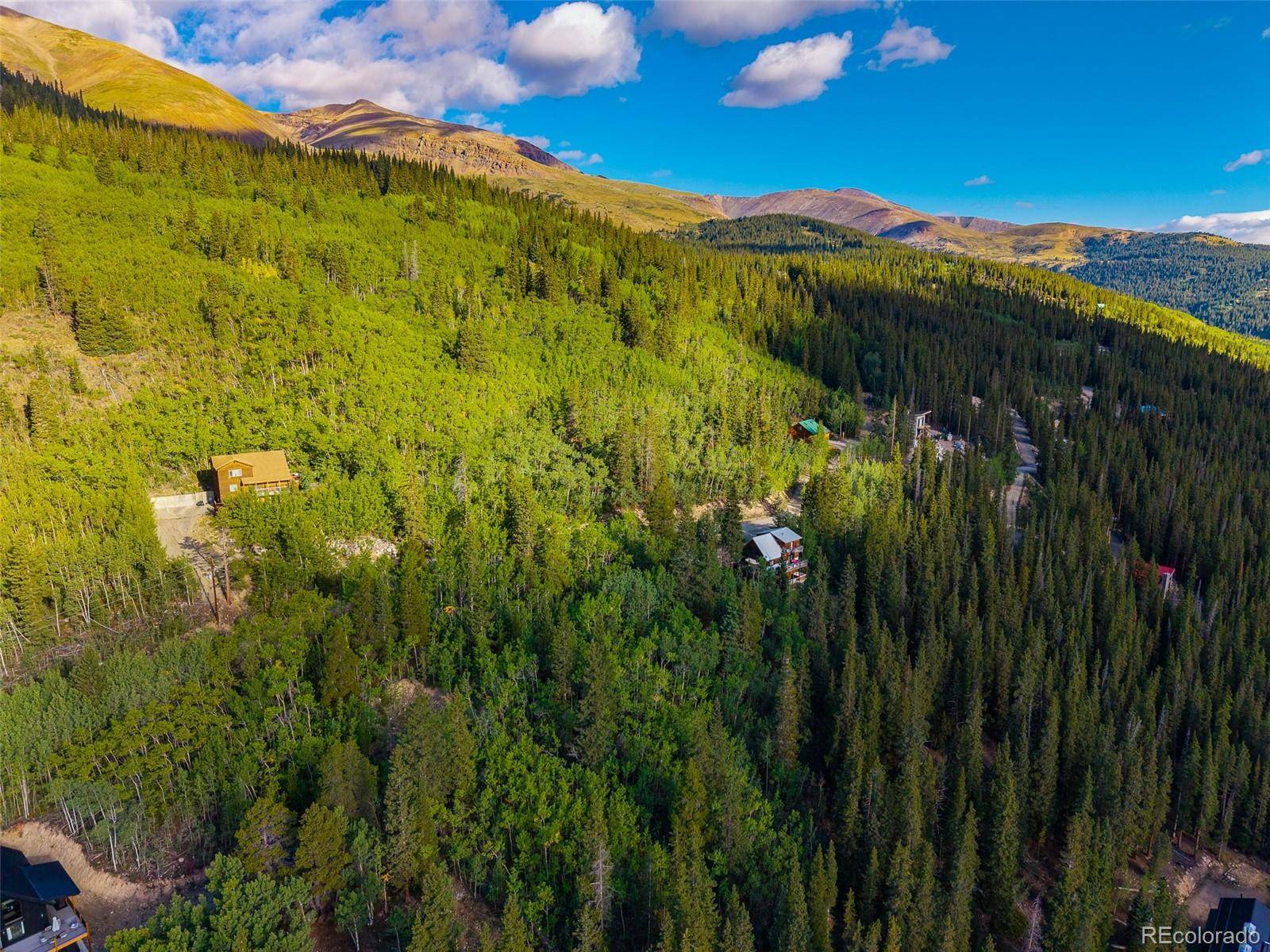 1238 Quartzville, Alma, CO 80420