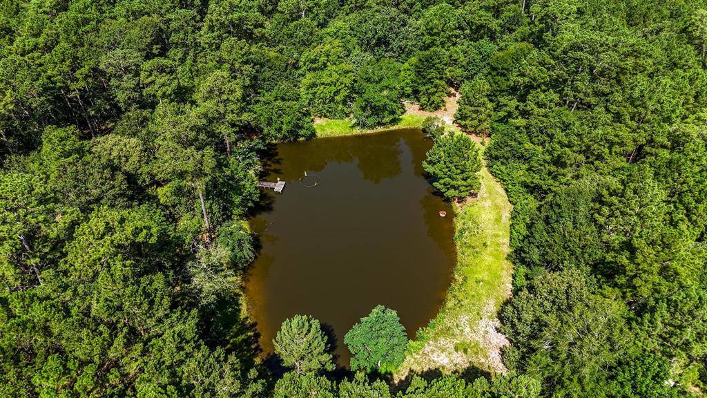 19359 Forest Road 219, Richards, TX 77873
