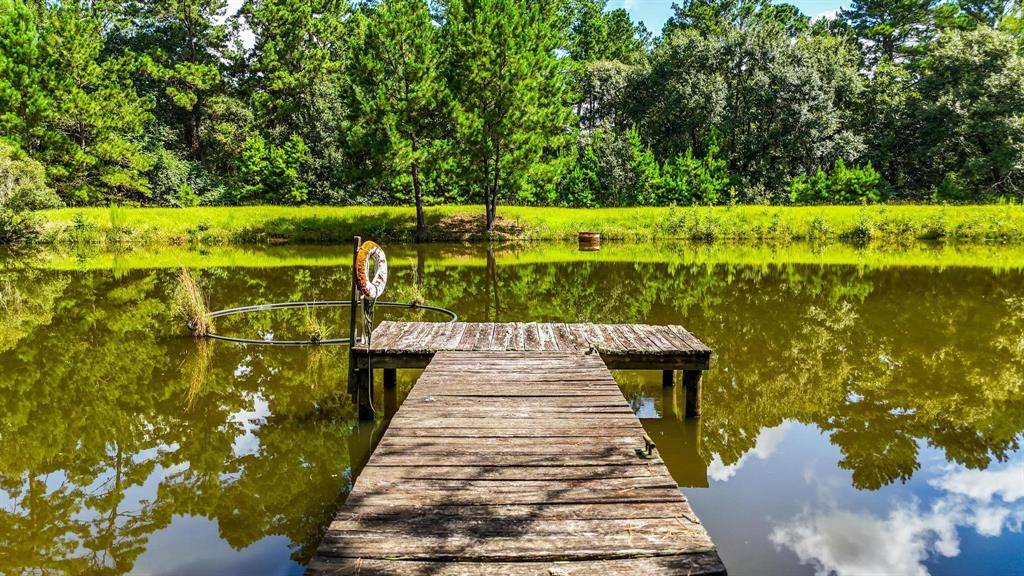 19359 Forest Road 219, Richards, TX 77873
