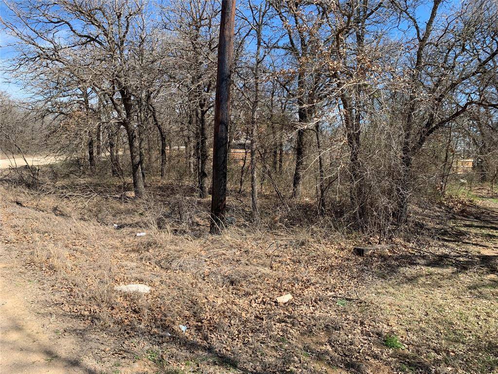 lot2 blok 2 Lark Meadow Drive, Bridgeport, TX 76426