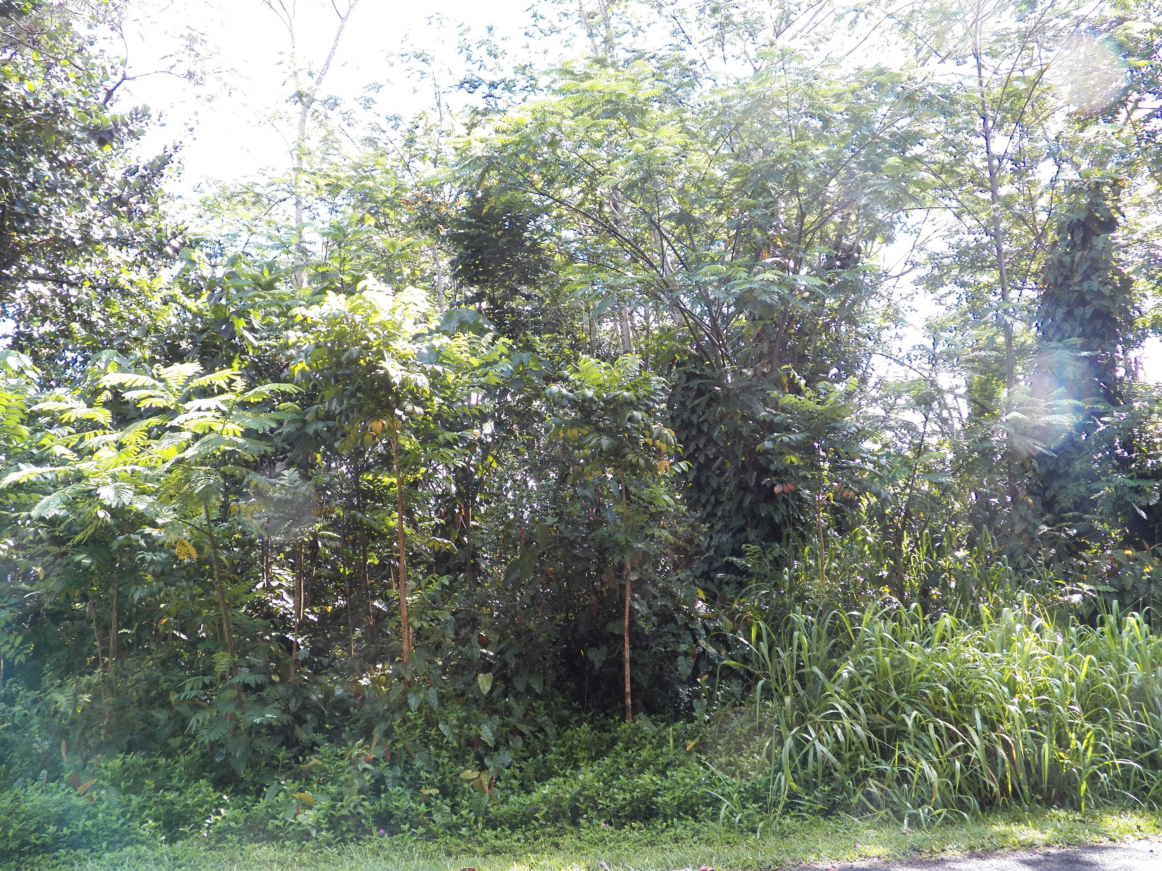 25TH AVE, Keaau, HI 96749