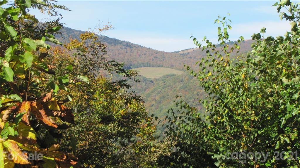 344 Croft View DR, Bakersville, NC 28705