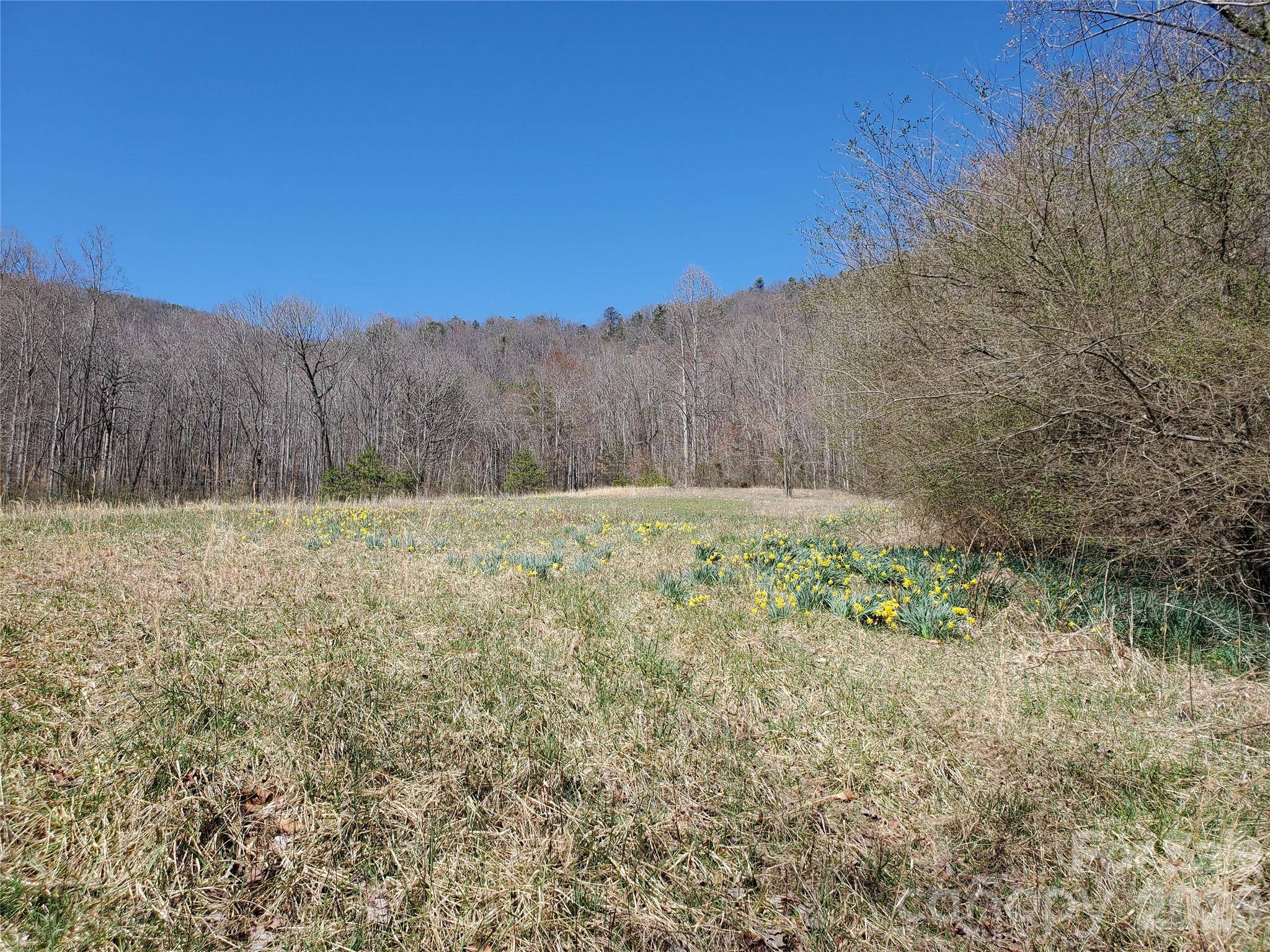 8057 Highway 16 HWY, Moravian Falls, NC 28654