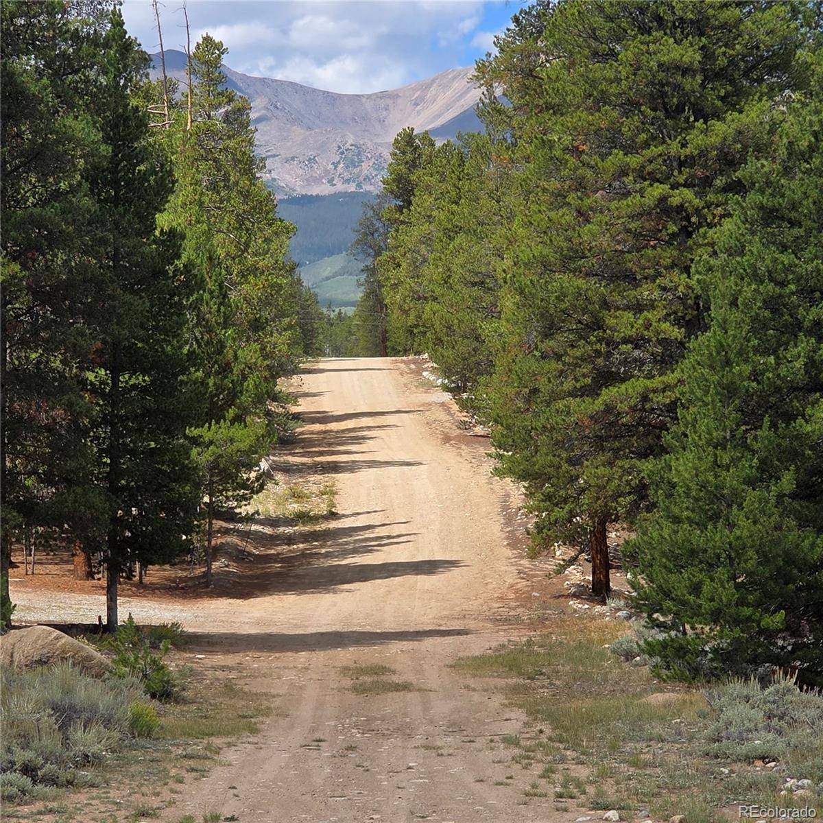 28 Juniper DR, Twin Lakes, CO 81251