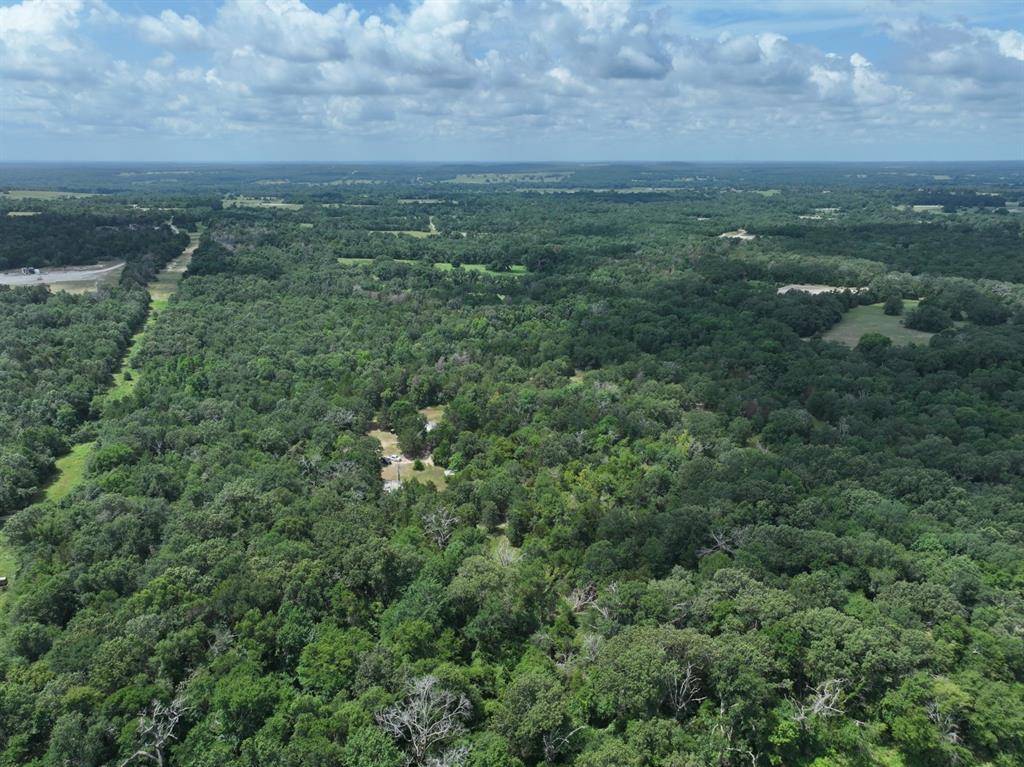 TBD CR 431 Road, Fairfield, TX 75840