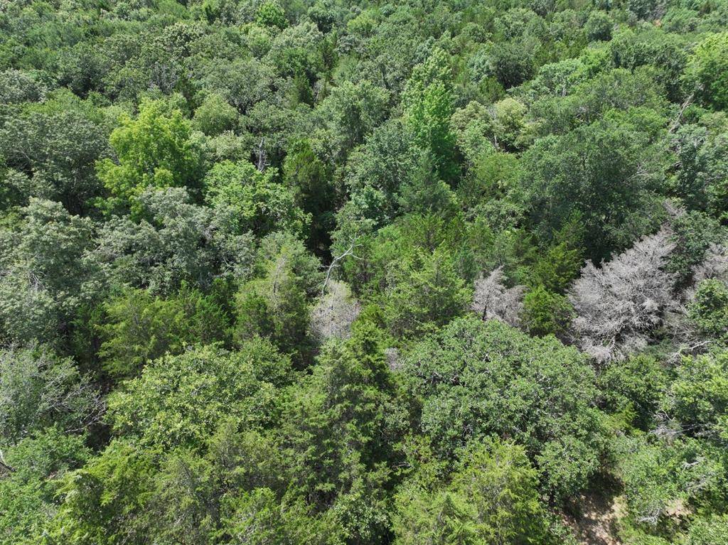 TBD CR 431 Road, Fairfield, TX 75840