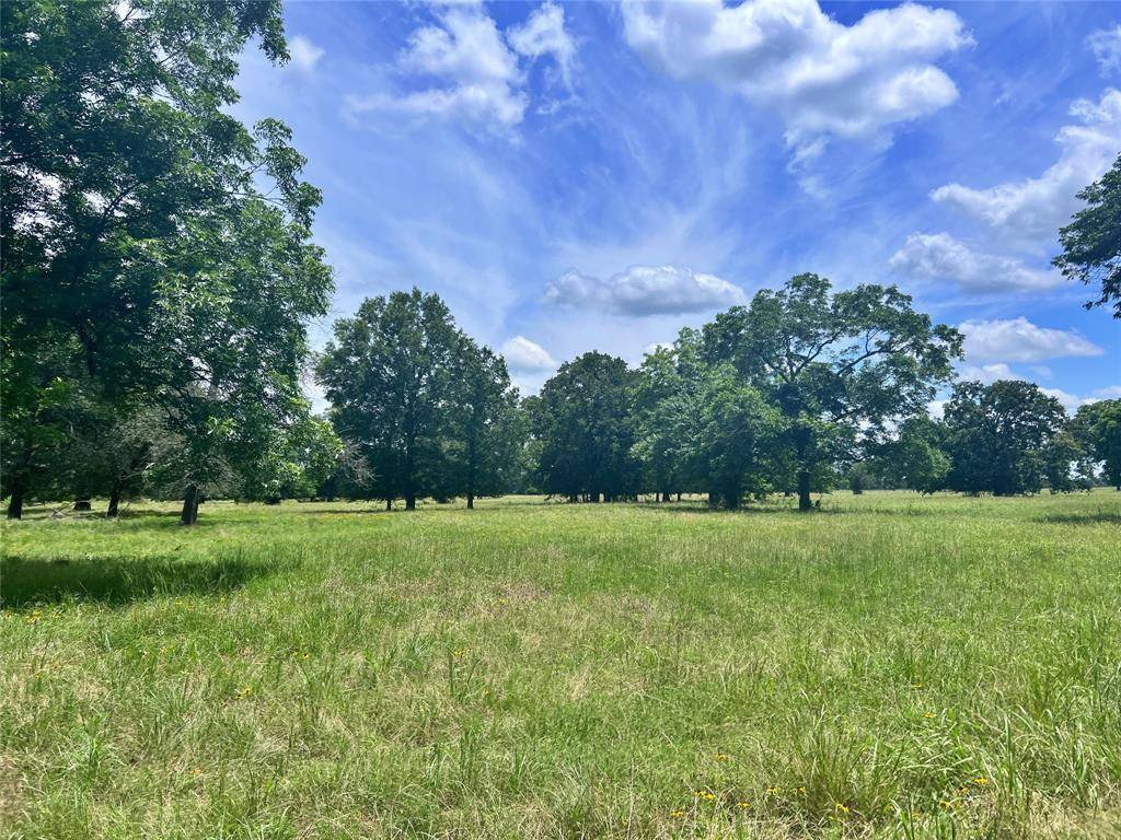 695 County Road 1210, Lake Creek, TX 75450