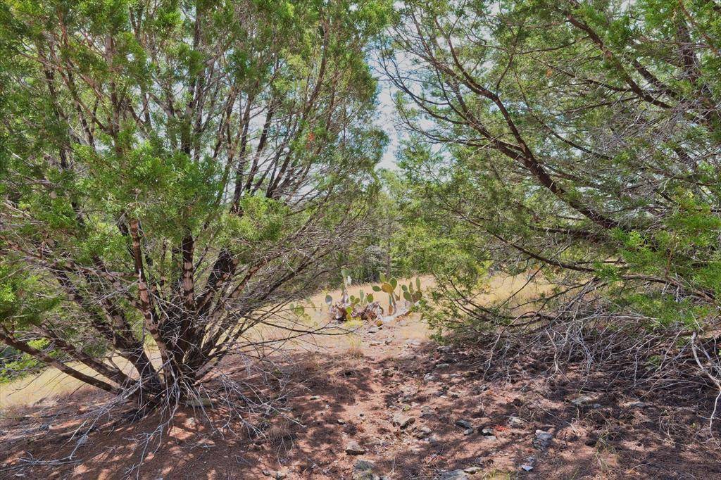 262 Grand Canyon Drive, Oglesby, TX 76561