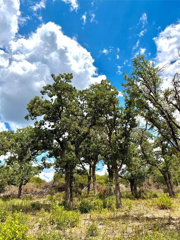 TBD Tract 7 PECAN SHELL RD, Desdemona, TX 76445
