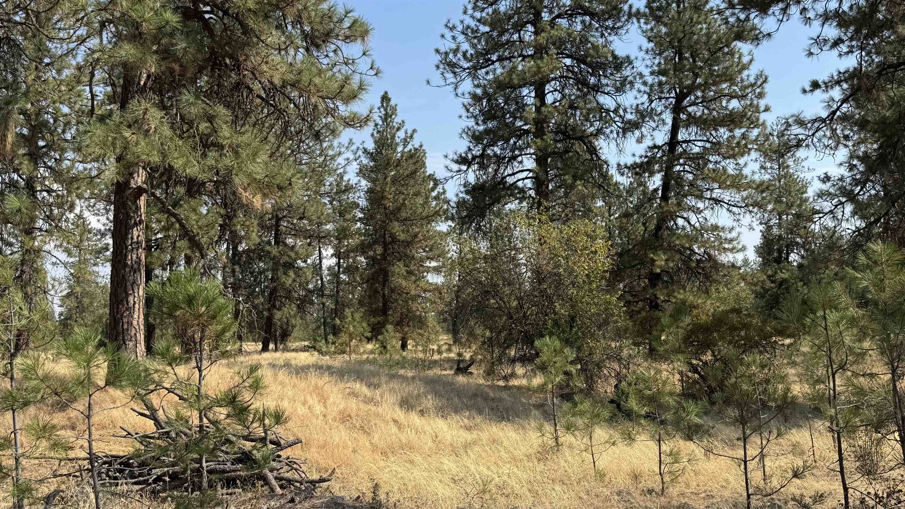 9916 W Newkirk Rd, Spokane, WA 99224