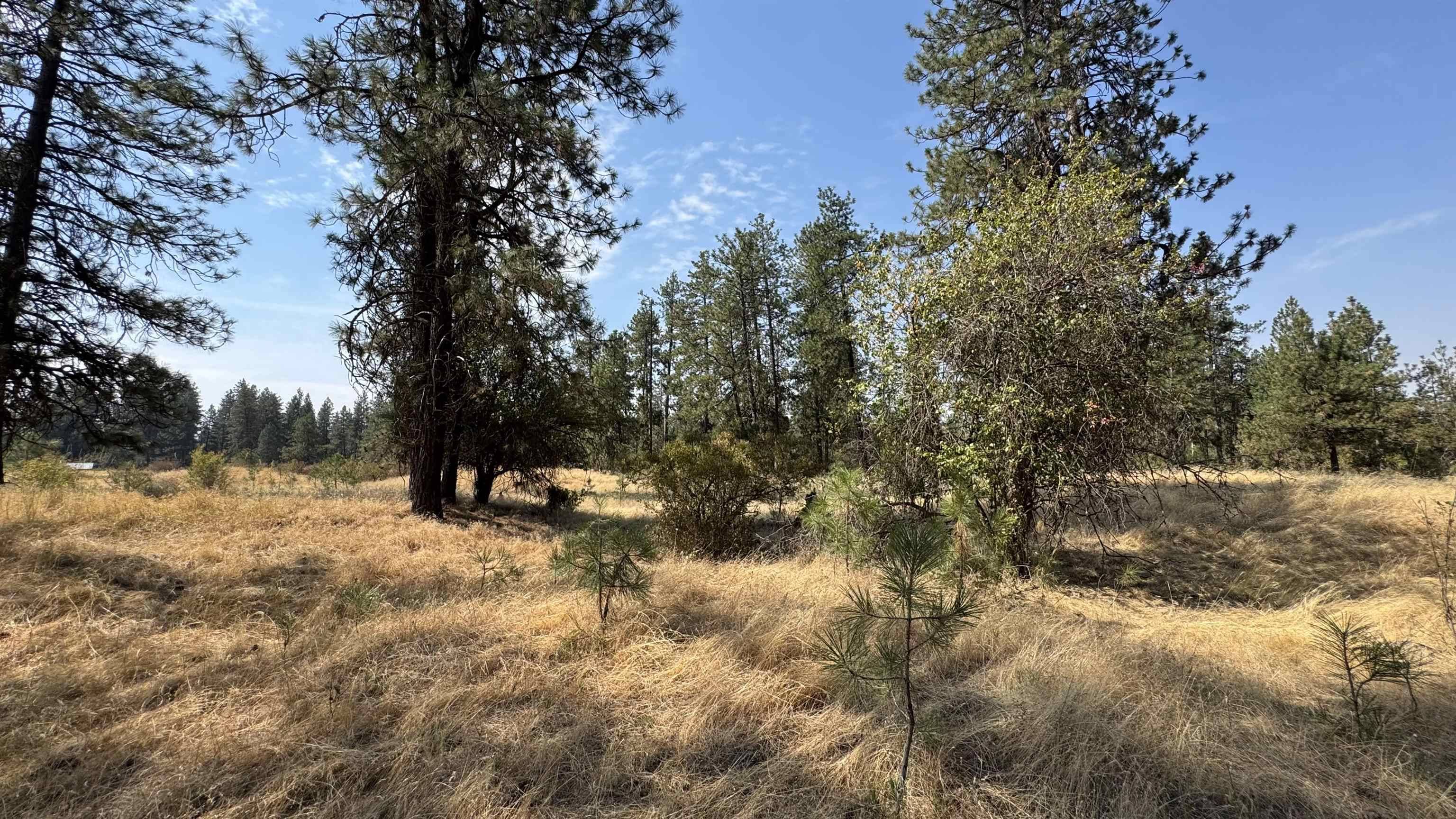 9916 W Newkirk Rd, Spokane, WA 99224