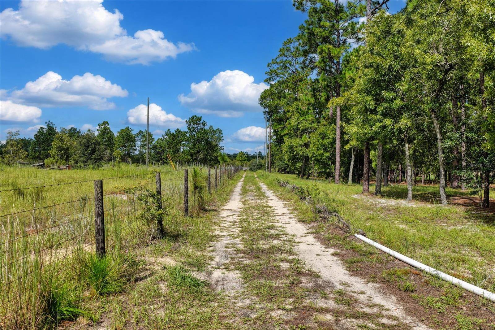 1411 SE STATE ROAD 121, Morriston, FL 32668