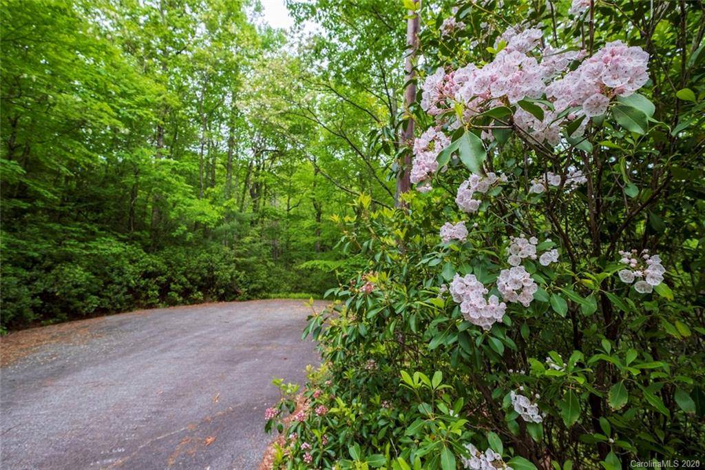 25 Summer Hill DR #25, Cedar Mountain, NC 28718