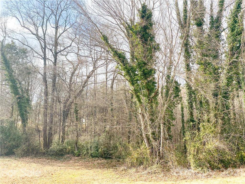 103 Mooreland DR NE, Conover, NC 28613