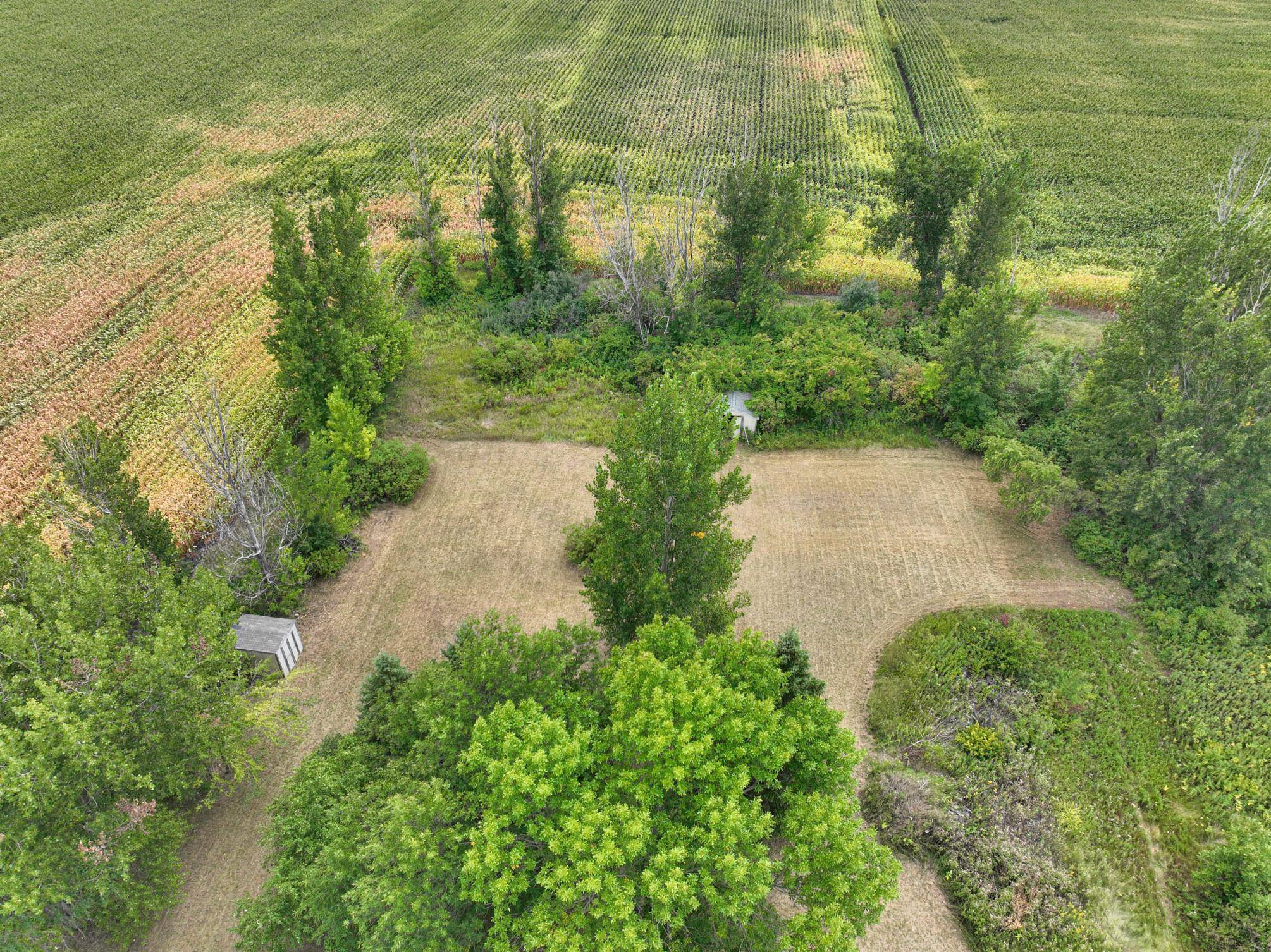 2955 390th ST, Foxhome, MN 56543