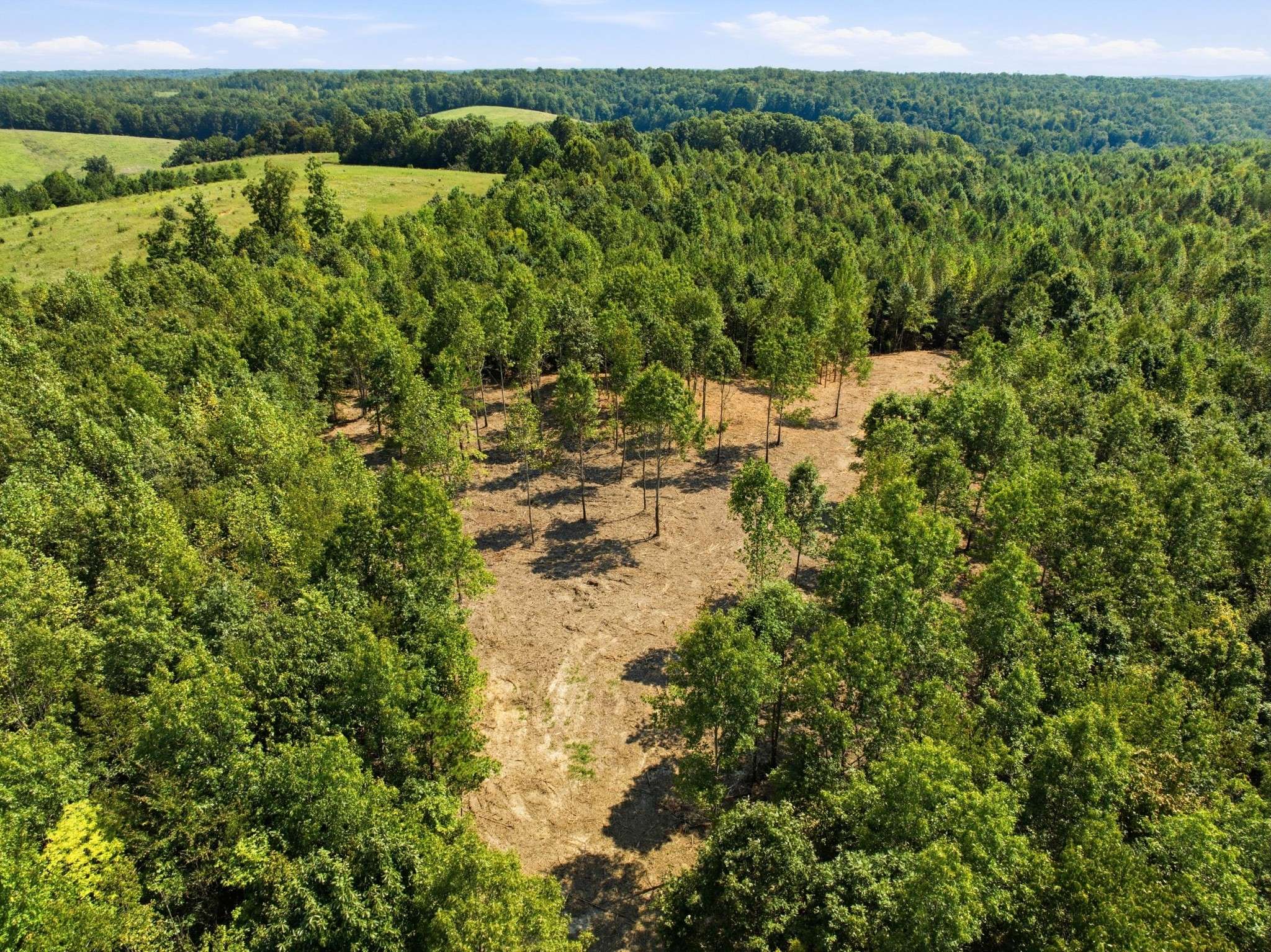 0 The Retreat at Paris Landing, Dover, TN 37058