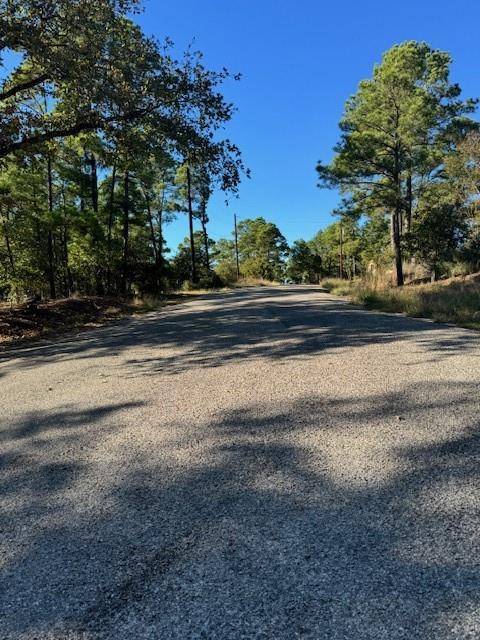 Lot 1395 Kaupa CT, Bastrop, TX 78602